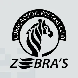 C v c zebras